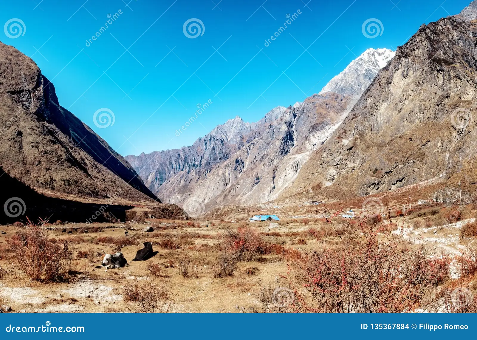Snow peaks above Langtang Valley